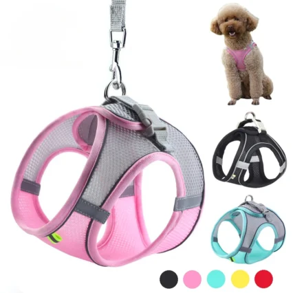 Conjunto de arnés ajustable para perros y gatos, chaleco para cachorros, Bulldog Francés, Chihuahua, Collar para perros pequeños, correa para mascotas